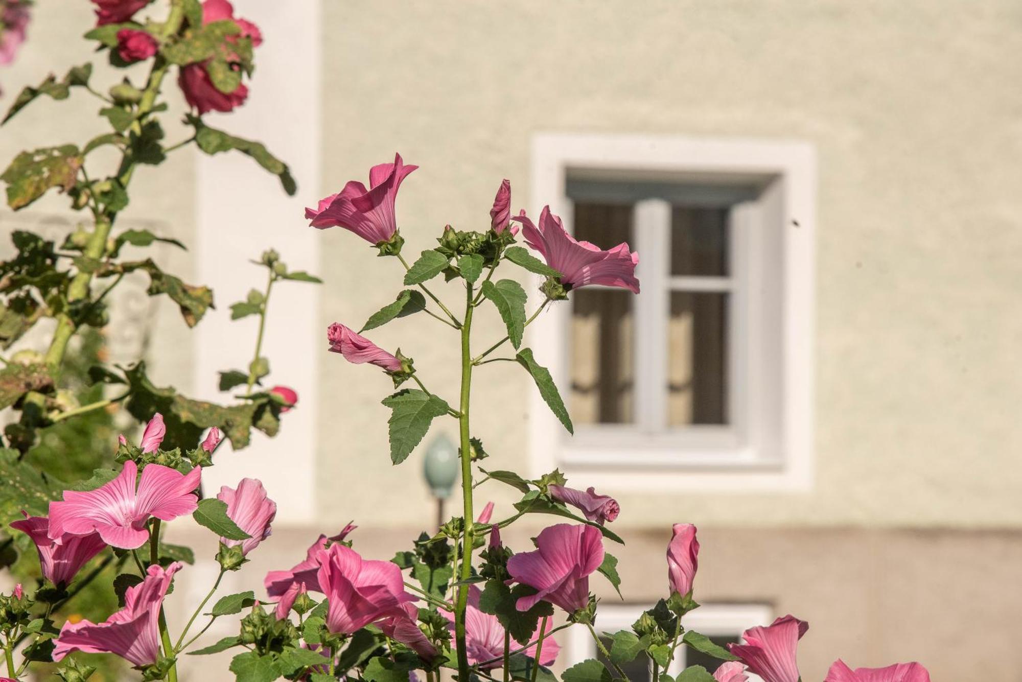 Apartmán Puenlandhof Brunico Exteriér fotografie